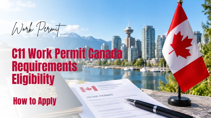 C11 Work Permit Canada: Requirements And How to Apply?